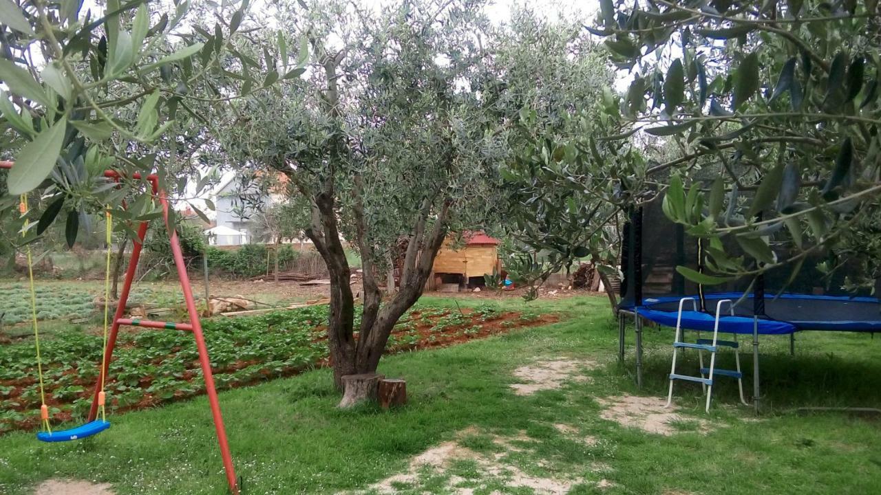 Apartmani Dana Sukošan Dış mekan fotoğraf